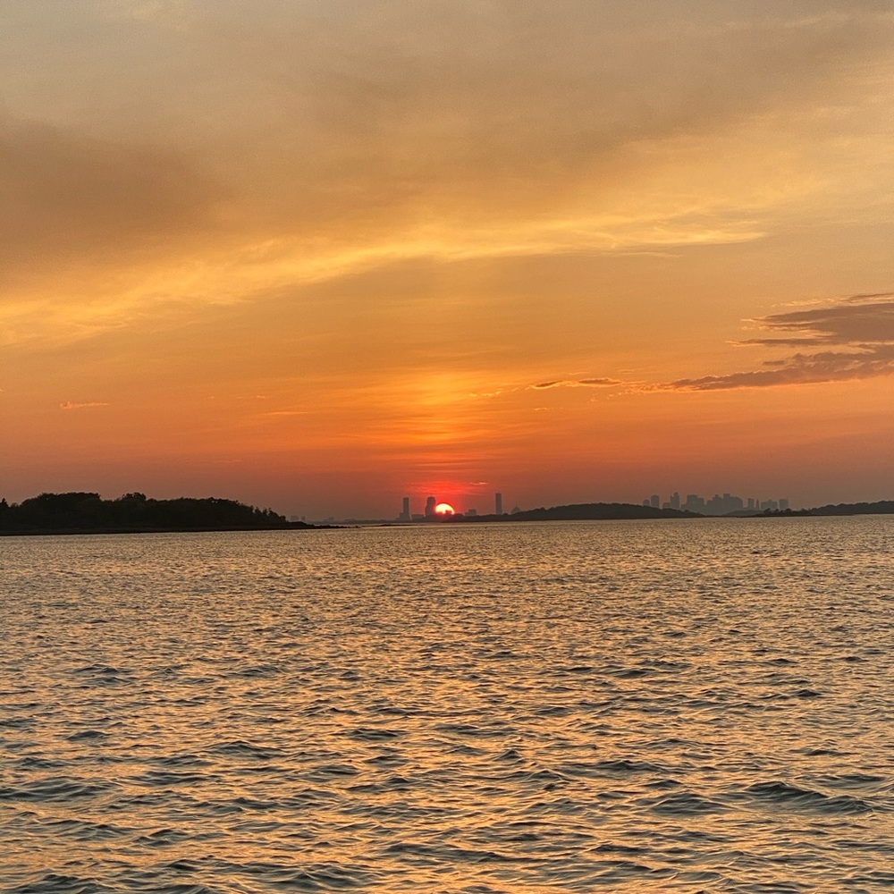 Meet your Posher, Lizzie